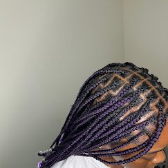 Elegant Cornrows